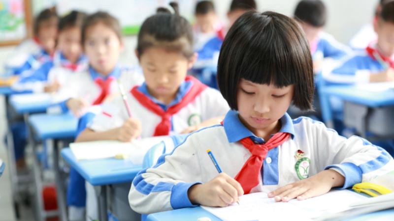 报名啦！龙岗3所学校试点开展小学生暑托服务