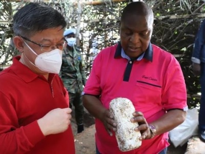 《山海情》里的菌草技术全球“圈粉”，中非共和国总统高度赞扬