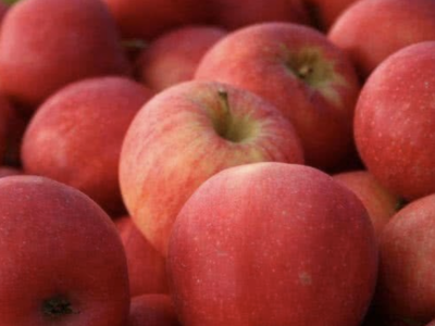 多地苹果低价滞销：境外疫情影响、供过于求，有果品开始腐烂