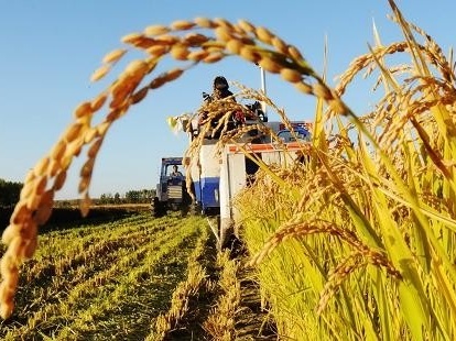 2021年强农惠农政策发布：9个方面35条，利好这些产业