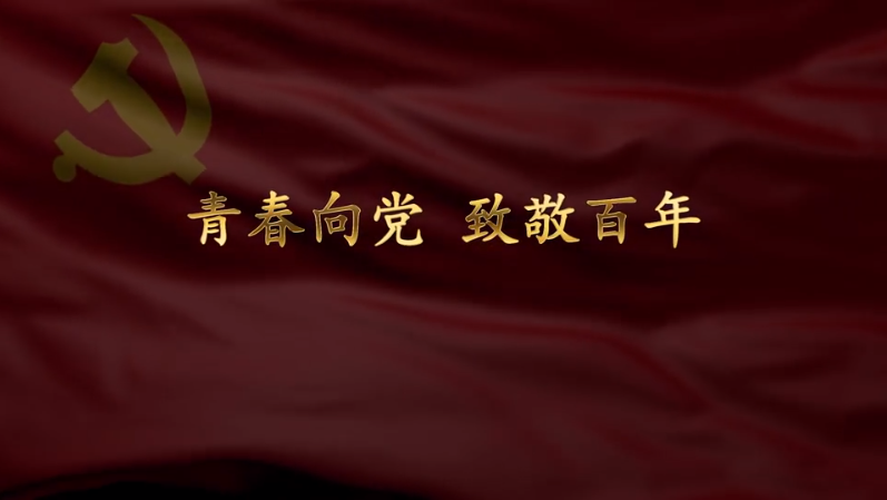 深圳“纪律君”：青春向党，致敬百年