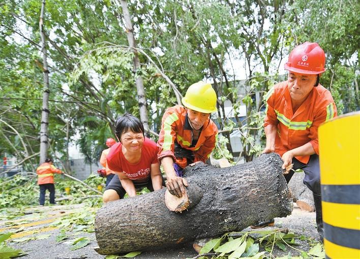 深圳以绣花功夫提升城市安全韧性水平 未雨绸缪打造城市“防水墙”