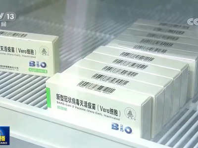 中国通过“新冠疫苗实施计划”供应的疫苗运抵阿尔及利亚