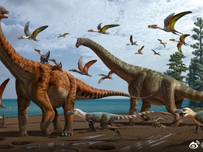 新疆哈密首次发现大型恐龙化石