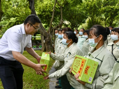 关爱花城工匠！深圳市总工会向全市园林绿化工人“送清凉”