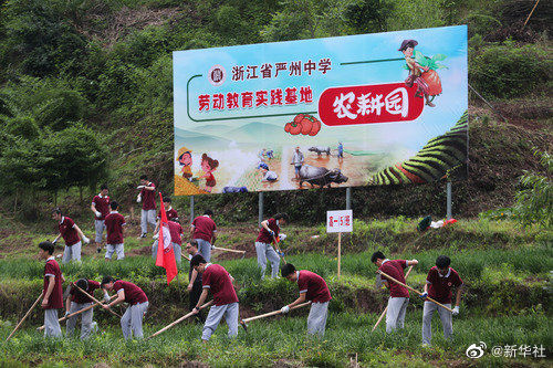 教育部：注重全面提升学生劳动素养