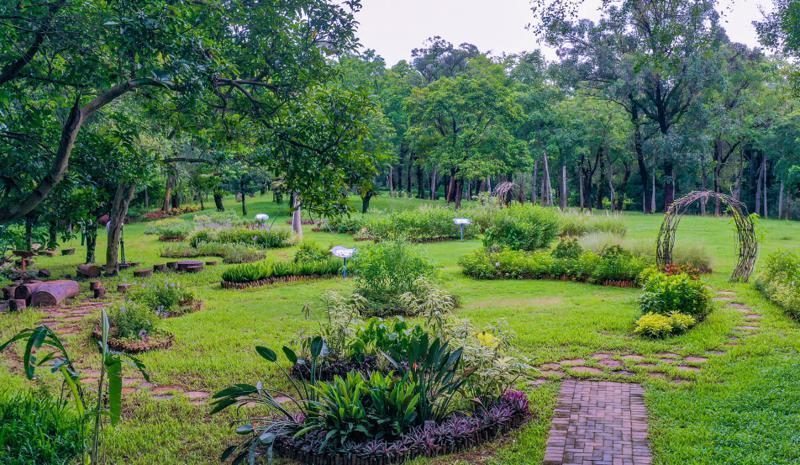 笔架山公园趣味植物迷你花园建成，90余种趣味植物等你来发现