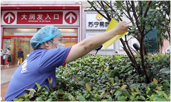 “大家都叫我灭霸！”清洁阿姨灭蚊13年发布《蚊虫作息表》走红网络