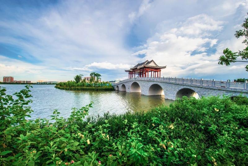 东莞唯一！麻涌镇麻三村获“中国美丽休闲乡村”称号