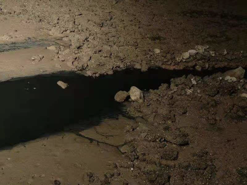 蛇口海上世界附近排水口疑似有黑臭水体排放，水务部门回应