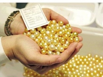 黄金珠宝也是“深圳土特产”