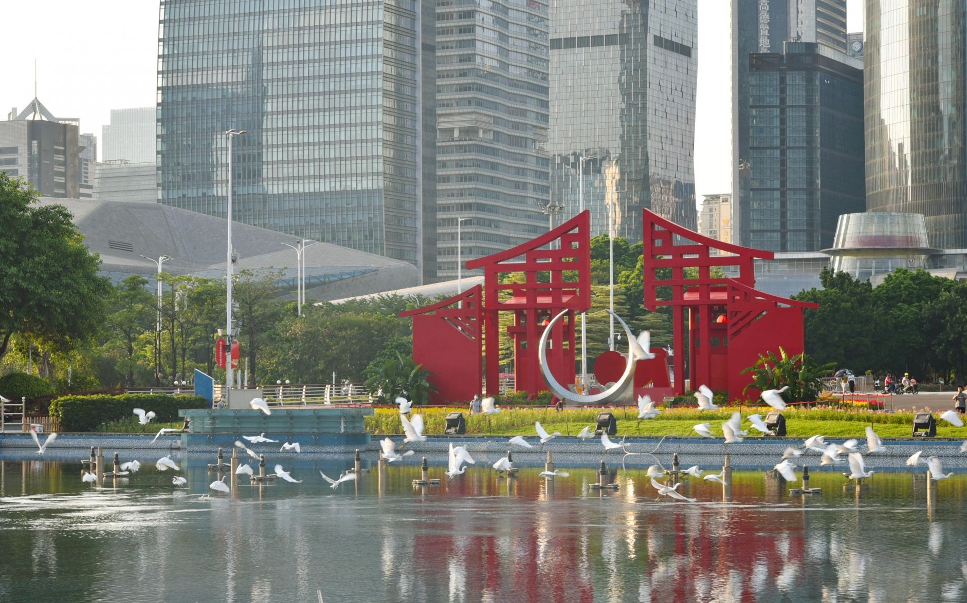白鹭翔城央，鸟鸣伴归家，广州把森林“请”进城市