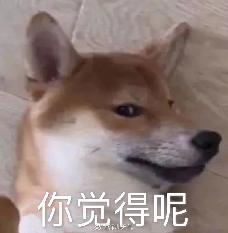 深圳全市雷电预警生效中！进入末伏，天气会凉快些吗？