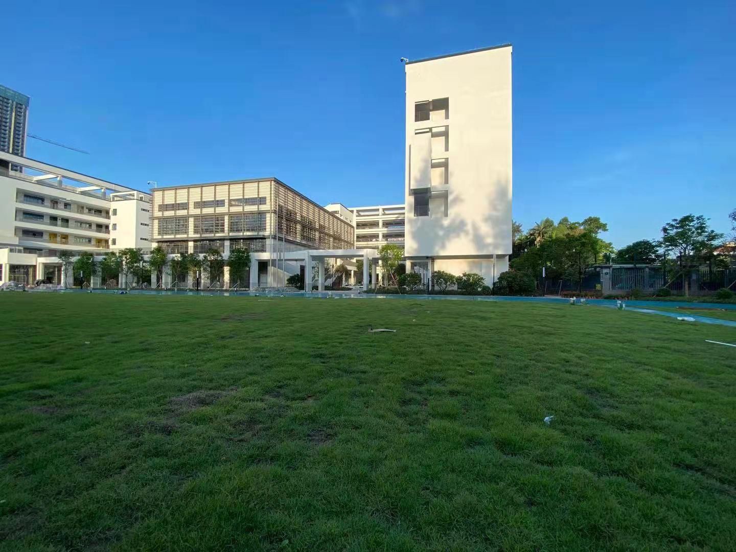 南山多所学校今秋“上新”，优美环境、优质教育将惠及更多学子
