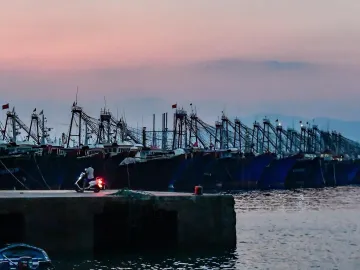渔船回港、人员上岸……珠海启动防风IV级应急响应