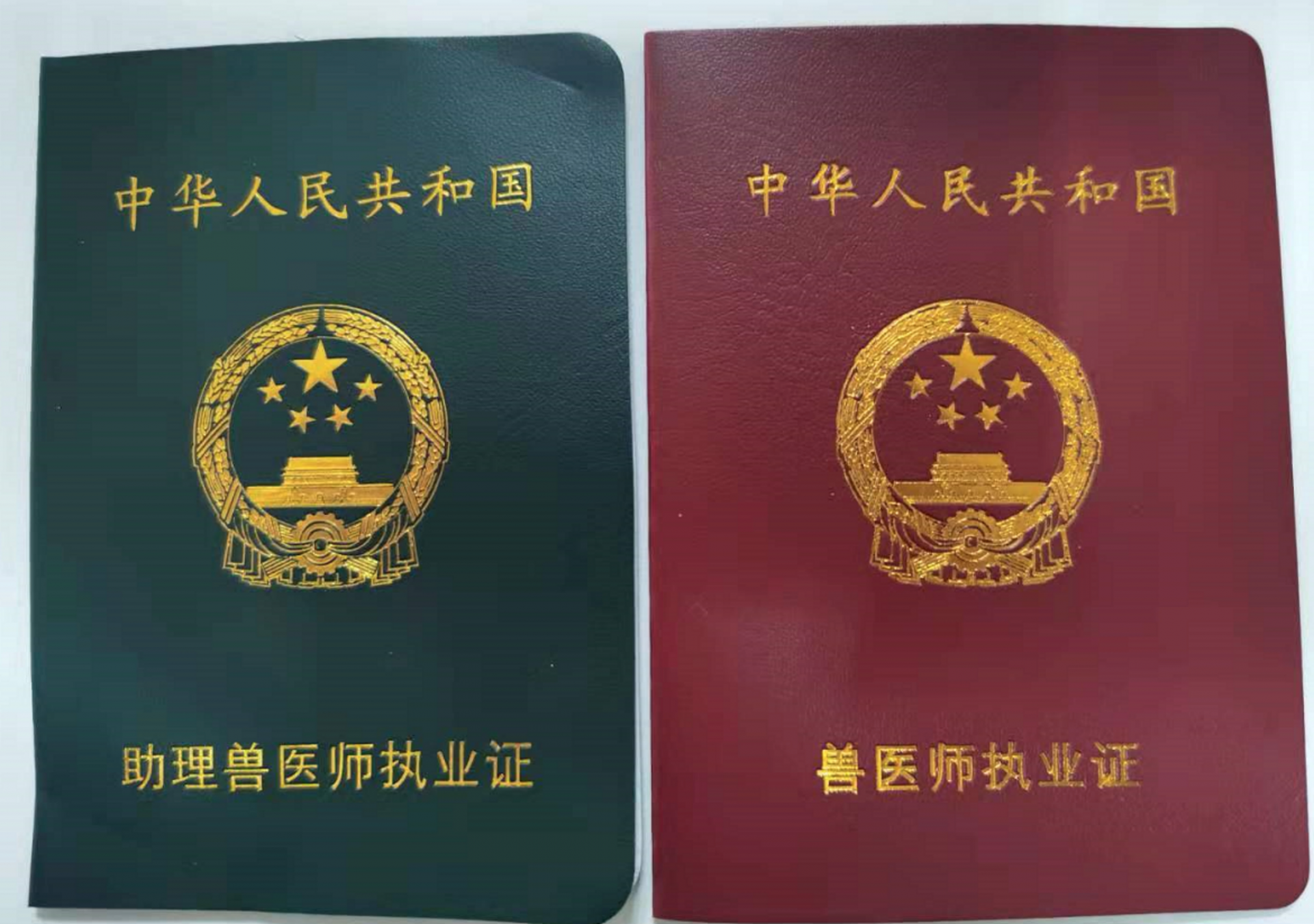 重大利好！执业兽医业务办理仅需网上备案即可