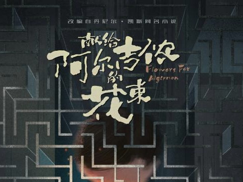 音乐剧《献给阿尔吉侬的花束》保利上演