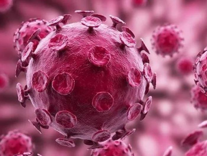 俄罗斯生物学家：新冠病毒溯源应包括美国生物实验室