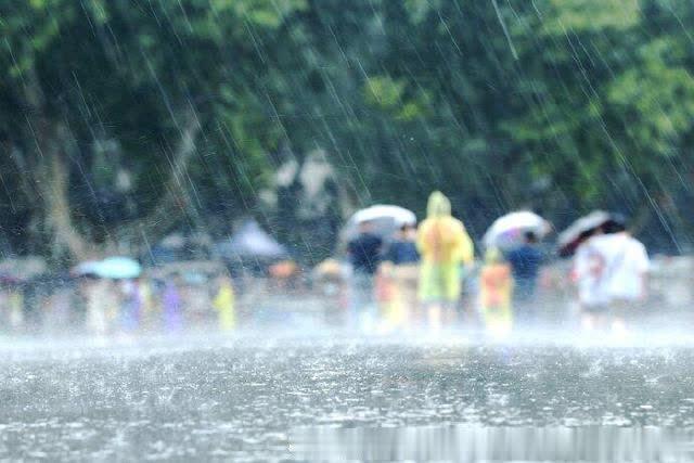 未来几天深圳阵雨频密，出门请携带雨具
