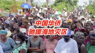 中国华侨驰援海地灾区