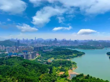 中央第四生态环境保护督察组向深圳市转办群众信访举报案件情况（第一批）