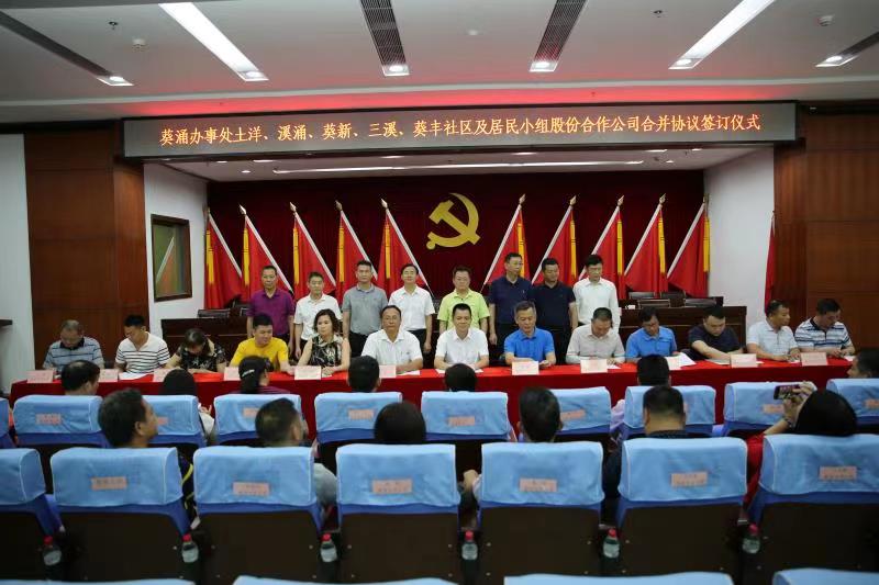 深化合作模式！葵涌探索集体经济多元发展路径