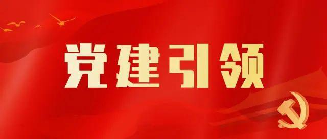 党建引领开新局——习近平总书记关切的党的建设新实践