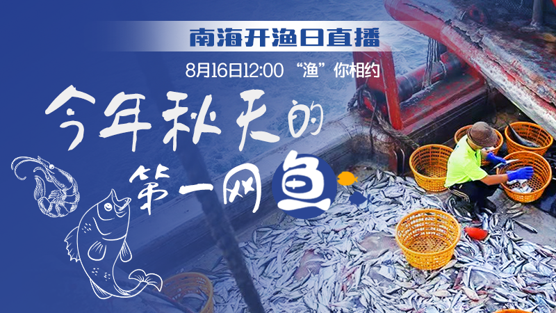 直播回顾 | 南海开渔日来了！“渔”你相约今秋的第一网鱼