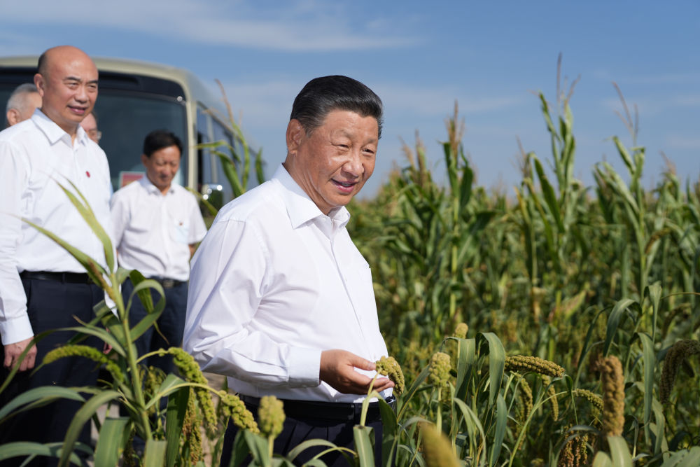 图集丨习近平在陕西榆林考察