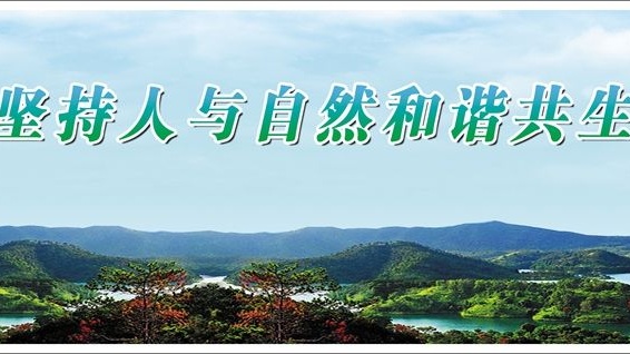 惠州28个村入选2020年广东省森林乡村