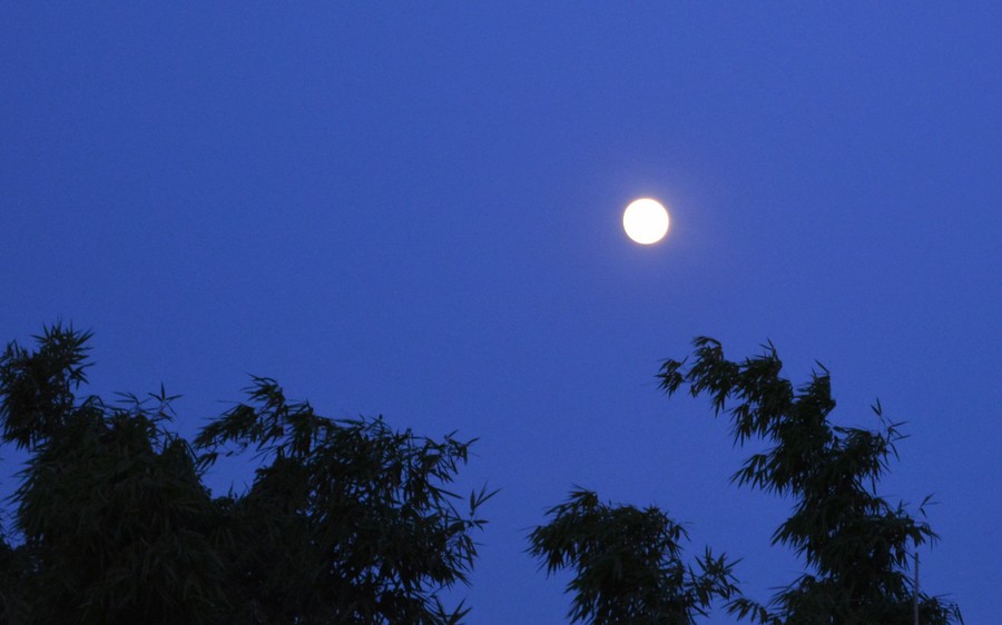 在深圳，中秋夜有望见到月亮！
