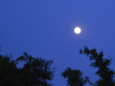 在深圳，中秋夜有望见到月亮！