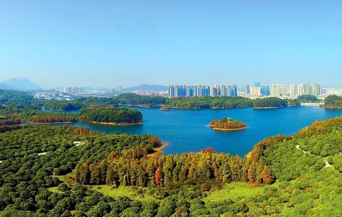 坪山：努力成为东纵精神的模范践行地
