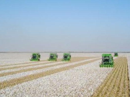 新疆棉纺业：“强迫劳动”是美西方反华势力的谎言 