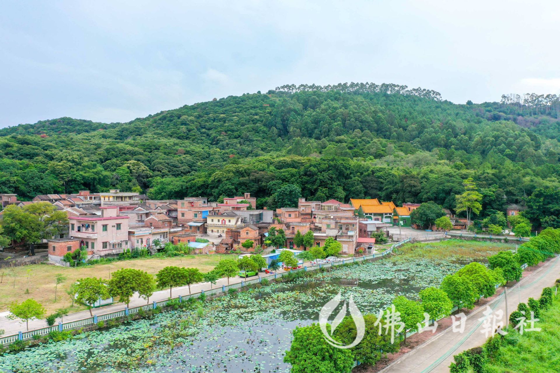 高明地理 | 最北端的江根村：依山临水好风光 乡村旅游助振兴
