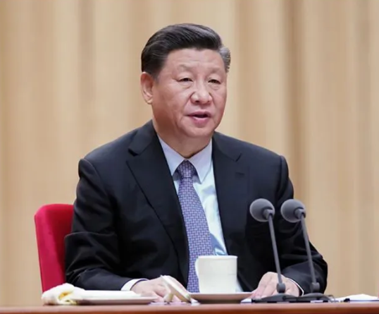 习近平就推动金砖务实合作提出中方倡议