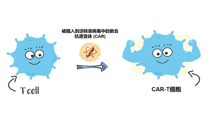 120万元一针癌细胞清零？CAR-T细胞治疗药物详解
