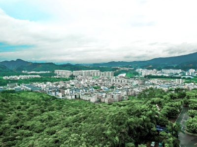 东莞市石新社区：努力创经济收入“亿元村”
