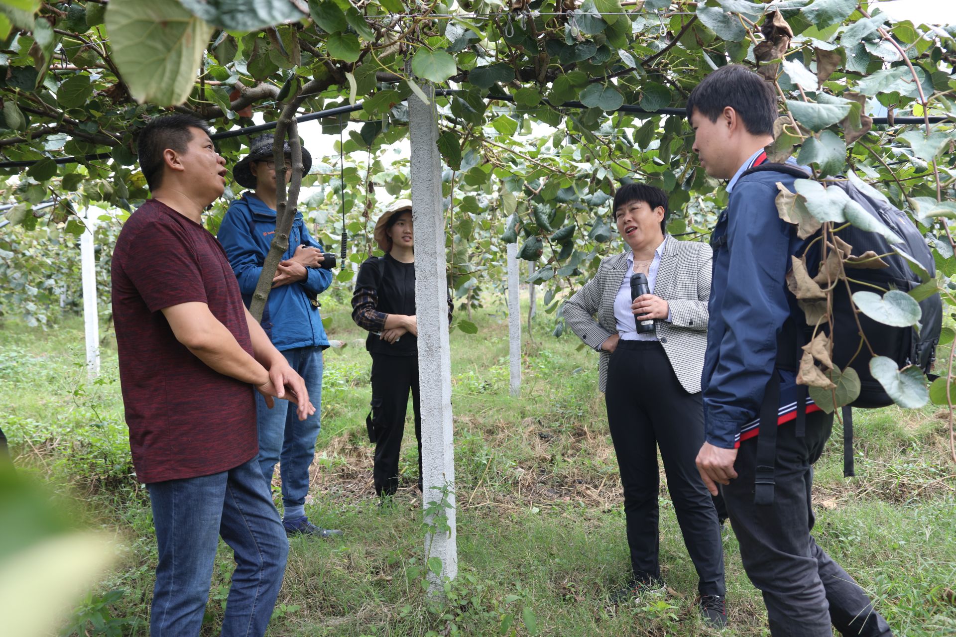 中科院专家助力察隅猕猴桃产业，种植户称：农产品致富大有希望