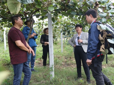 中科院专家助力察隅猕猴桃产业，种植户称：农产品致富大有希望