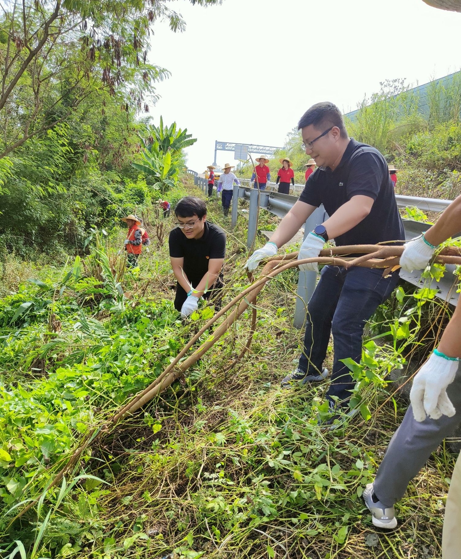 肇庆市怀集县岗坪镇：政企联手打通农田“生命线”
