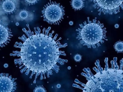 中国发布世界卫生组织召集的新型冠状病毒全球溯源研究中国部分国际合作纪事
