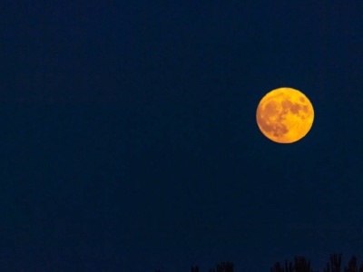 今年中秋“十五的月亮十五圆”，你跟谁一起赏月？