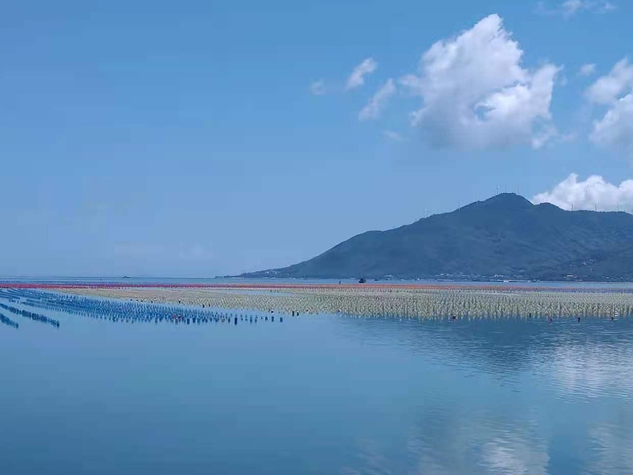 苏州阳澄湖大闸蟹再出海