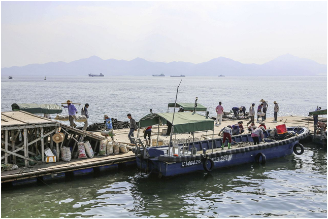 海南发布中国首部休闲渔业行业自律行为规范