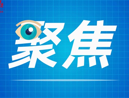 最高补贴100万元！珠海促进知识产权高质量发展新规出台