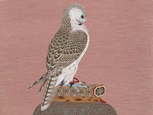 “当代花鸟画名家邀请展”：绽放的生机与雅意
