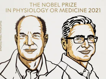 2021诺贝尔生理或医学奖：身体感受冷热、触觉的科学解释