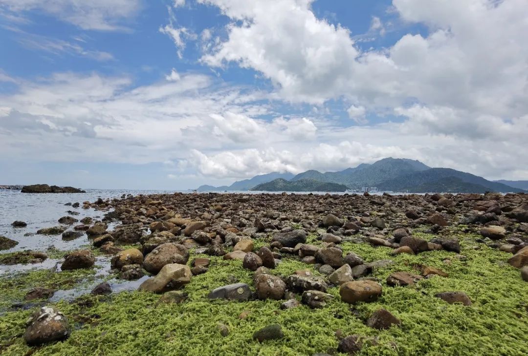 大鹏新区多措并举保障鹿嘴—杨梅坑片区旅游安全