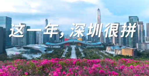 这一年，深圳很拼！